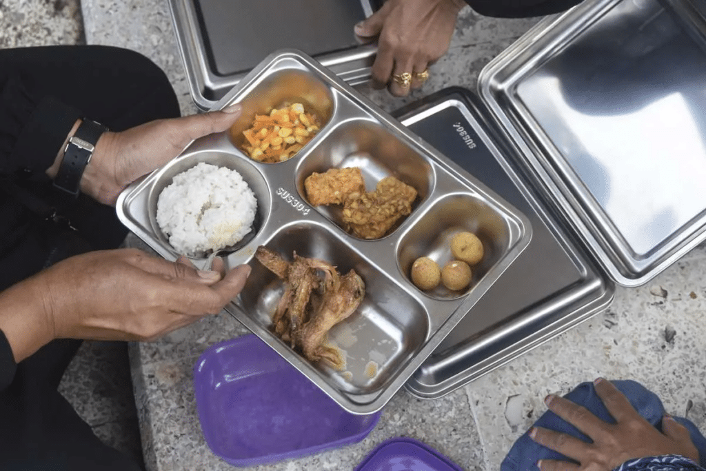 badan gizi nasional
